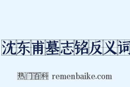 沈东甫墓志铭反义词是什么意思的图片